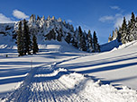 Kurz vor der Riesenhütte