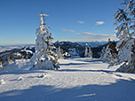 Blick Richtung Kampenwand