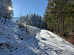 ...und gehen weiter geradeaus