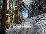 ...wandern wir hinauf...