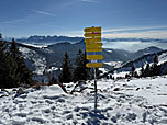 Schilderbaum an der Hochrieshütte