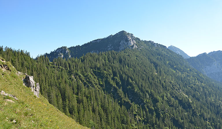 Hochsalwand (1624 m)