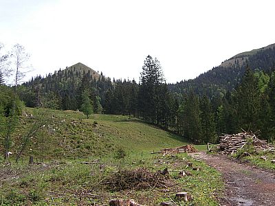 Links der Mitterberg