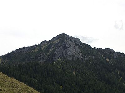 Blick zur Hochsalwand