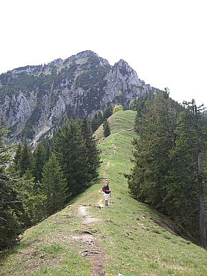 Der Verbindungsrücken zur Hochsalwand