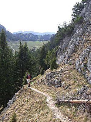 Abstieg zur Reindleralm