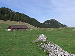 Reindleralm