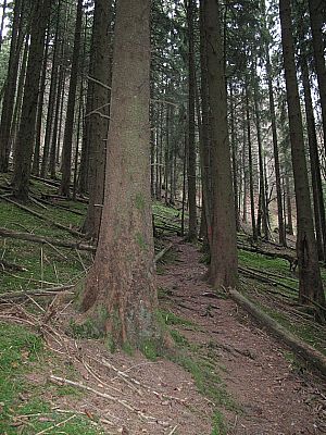 ...geht es steil bergauf...