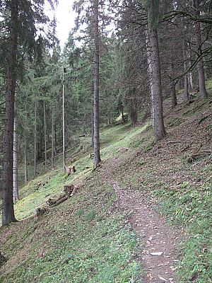 ...und bewegen uns schnörkellos...