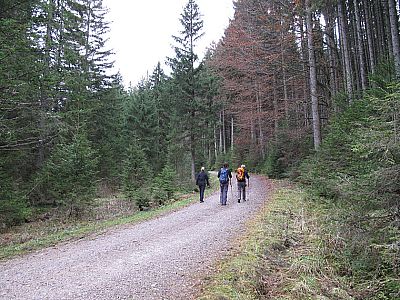 ...und weiter im flachen Terrain