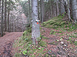 Hier geht es rechts weg