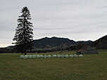 Blick zum Hörnle