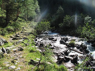 Wir folgen nun dem Leibnitzbach, ...