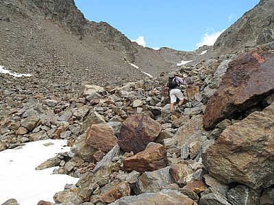 Das Grün verschwindet...