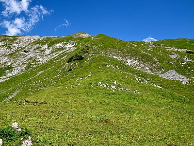 Über die Flanke steigen wir bis kurz unterhalb des Grates auf