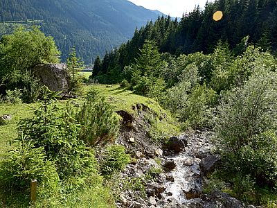 ... und steigen am westlichen Ufer weiter ab.