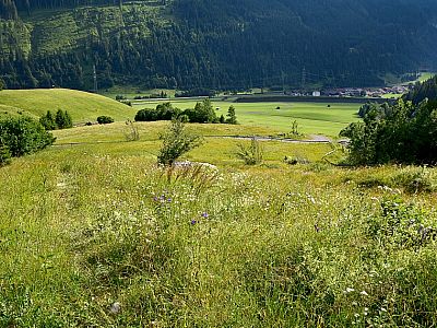 Über Wiesen erreichen wir schließlich wieder.. 