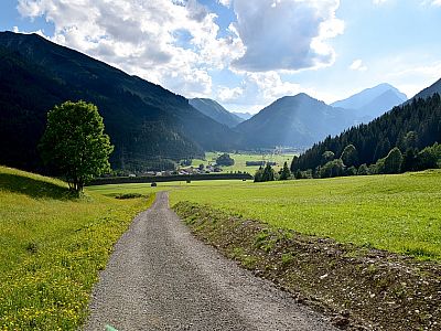 ... den Aufstiegsweg, auf dem wir zum ...