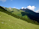 Links von uns führt der Alpenrosensteig nach Westen
