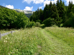 Am Ende des Forstweges spazieren wir über einen Wiesenweg nach Norden ...
