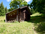 Durch den lichten Wald gewinnen wir an Höhe