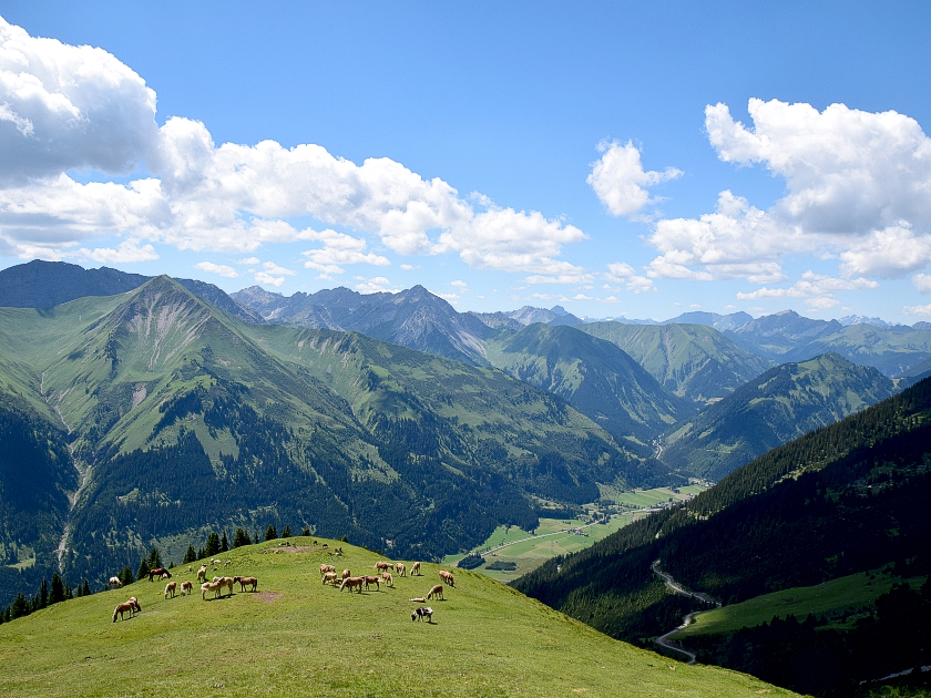 Bilder & Fotos | Hochschrutte | Ammergauer Alpen