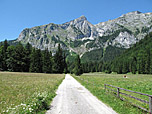 Über einen Forstweg geht es auf die Wände des Hochschwabs zu