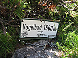 Am Vogelbad