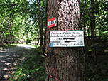 ...und biegen bei diesem Wegweiser links Richtung G