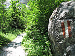 Der Wiesenweg führt uns zwischen lichten Baumbestand...