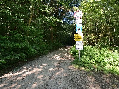 Vom Parkplatz starten wir auf einem breiten Forstweg nach Südwesten