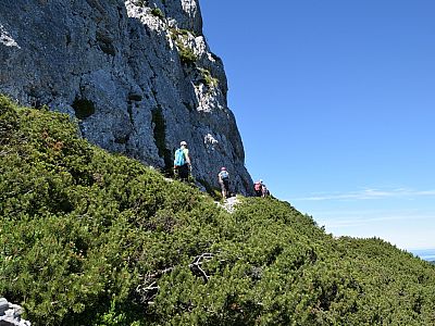 ... und erreichen auf dem Pfad ...