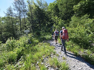 Nur kurz geht es noch durchs Grün, ...