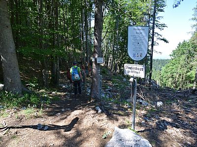 Hier biegen wir recht auf einen kleinen Pfad ab