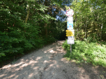 Vom Parkplatz starten wir auf einem breiten Forstweg nach Südwesten