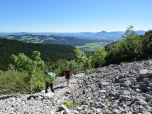 ... dann steigen wir auf einem Schotterfeld steil auf.