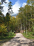 Von der Padinger Alm folgen wir dem breiten Forstweg nordwärts