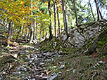 Der Weg wird steiniger