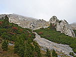 Blick über die Bartlmahd