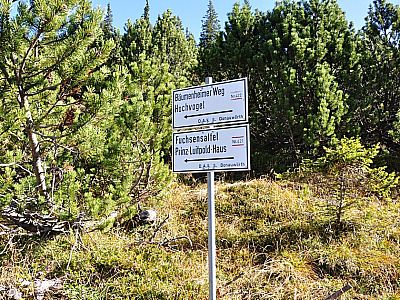 Weiter auf dem Weg 421/422