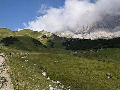 Kurz vor dem kleinen Schuppen...