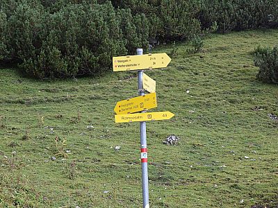 ... biegen wir links ab und steigen Richtung Predigtstein auf.