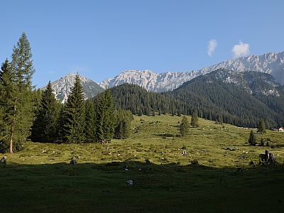 In der Bildmitte ist bereits der Hochwanner zu sehen