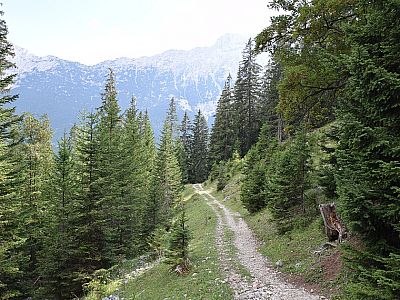 ... ein Stück dahinter wird der Weg breiter.