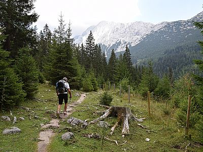Hinter der Alm führt der Weg nach Osten in den Wald