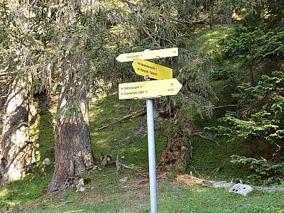 Hier rechts weiter Richtung Rotmoosalm