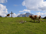 Das Gipfelkreuz des Steinernen Hüttsl vor der Hohen Munde