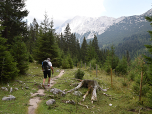 Hinter der Alm führt der Weg nach Osten in den Wald