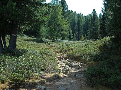 Ein kleiner Aufstieg, ...