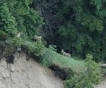 im steilen Schottergelände